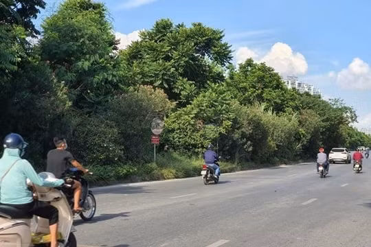 Trúng loạt gói thầu "khủng", Công ty Cây xanh Hà Nội vẫn liên tục thua lỗ
