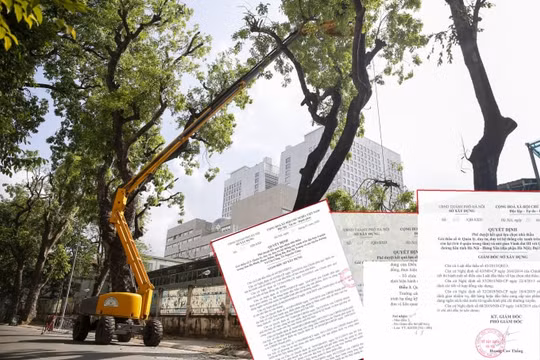 Công ty Công viên cây xanh một ngày trúng hơn 1800 tỷ đồng tại Sở Xây dựng Hà Nội