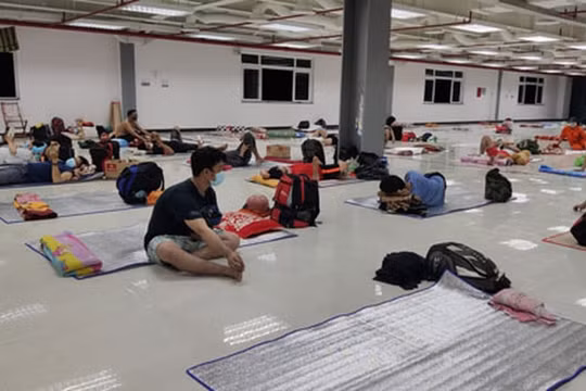 "3 tại chỗ" chỉ là giải pháp tình thế, khó kéo dài?
