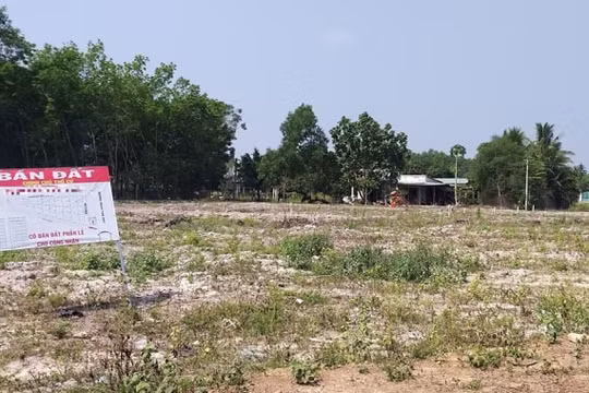 Lâm Đồng ra quy định mới về tách thửa nhằm ngăn chặn phân lô, bán nền "bát nháo"