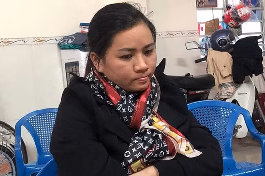 Bắt giữ nữ quái làm giả hồ sơ để lừa đảo nhiều ngân hàng