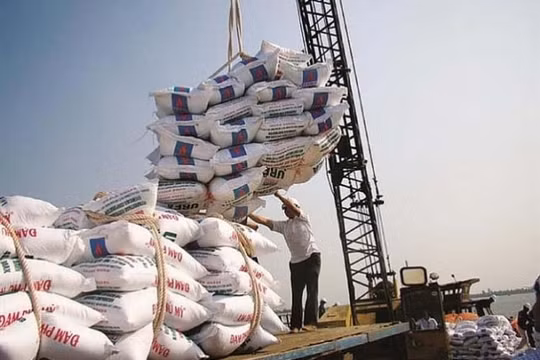 Năm 2020, Việt Nam nhập khẩu 3,8 triệu tấn phân bón trị giá gần 1 tỷ USD