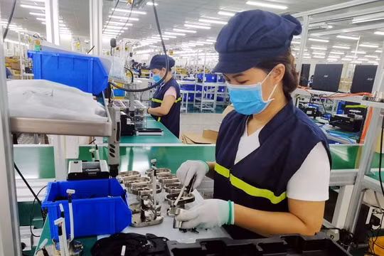 Khẩn trương đánh giá tác động toàn diện của dịch để đưa ra giải pháp “chung sống an toàn”