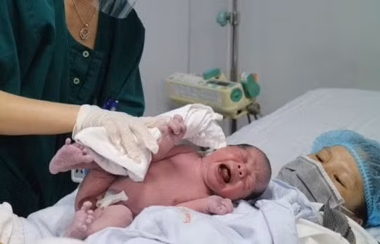 Những công dân đầu tiên của năm Tân Sửu