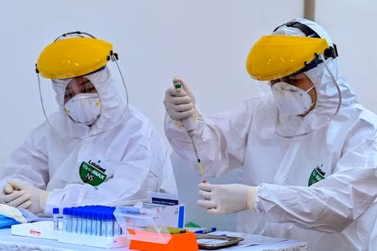 Chủng virus SASR-CoV-2 ở Tân Sơn Nhất là chủng mới lần đầu tiên xuất hiện tại Đông Nam Á