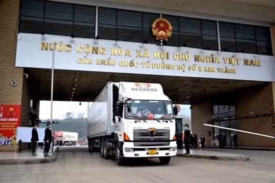 190 tấn thanh long xuất sang Trung Quốc trong ngày mùng 1 Tết Tân Sửu