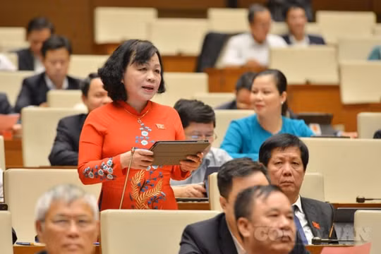 Đại biểu Quốc hội ấn tượng sâu sắc về một nhiệm kỳ Chính phủ thành công, liêm chính, kiến tạo