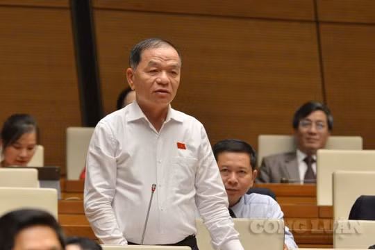 Đạo đức, văn hóa xuống cấp không thể dùng "đức trị" mà phải dùng "pháp trị"