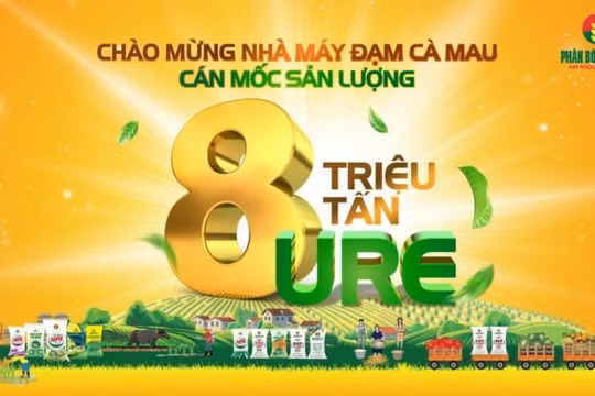 Phân bón Cà Mau cán mốc sản lượng 8 triệu tấn U rê