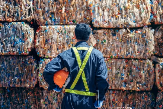 WWF - Việt Nam kêu gọi nâng cao trách nhiệm và sức mạnh của người tiêu dùng đối với việc giảm thiểu rác nhựa