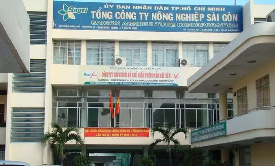 Hàng loạt cán bộ, đảng viên tại TP. HCM bị kỷ luật vì liên quan 4 vụ án lớn