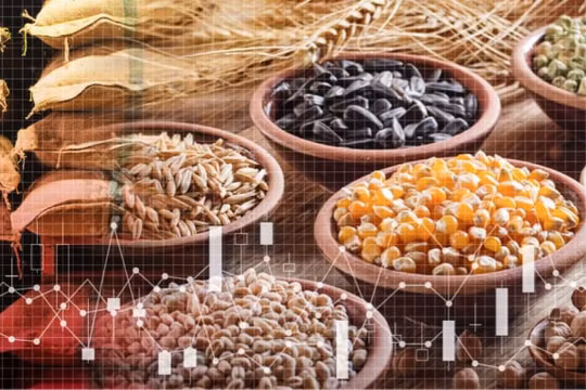 Trung Quốc tích trữ hơn một nửa ngũ cốc của thế giới, đẩy giá toàn cầu tăng cao
