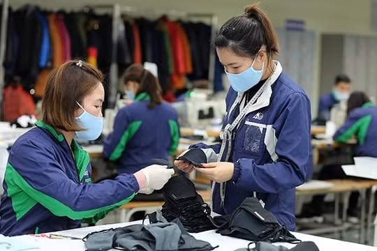 Doanh nghiệp châu Âu đánh giá cao môi trường kinh doanh của Việt Nam