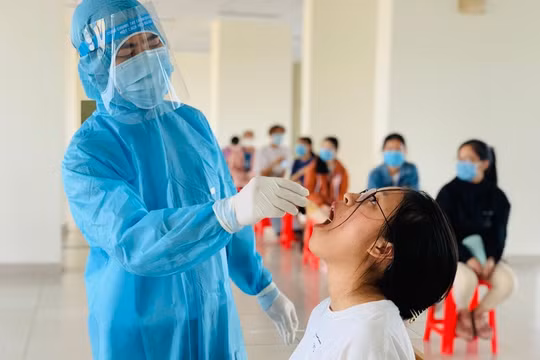 Phú Quốc: 50 mẫu xét nghiệm ngẫu nhiên cho kết quả âm tính Covid-19