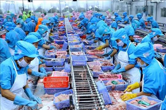 Hiệp hội VASEP kiến nghị giải pháp phục hồi ngành thủy sản