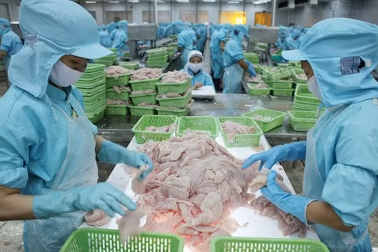 Doanh nghiệp thủy sản “khóc thét” về các quy định mới về bảo vệ môi trường