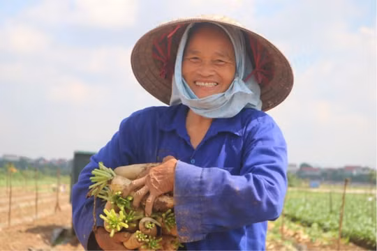 Vựa rau lớn nhất Hà Nội hồi sinh sau những ngày giãn cách