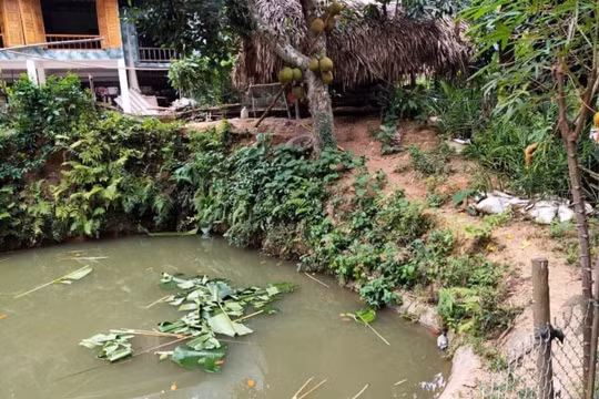 Yên Bái: Bé gái 3 tuổi tử vong do đuối nước