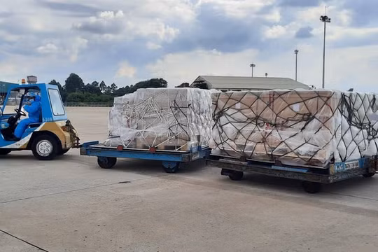 Hơn 203.000 bộ kit test nhanh COVID-19 của Đức đến TP.HCM