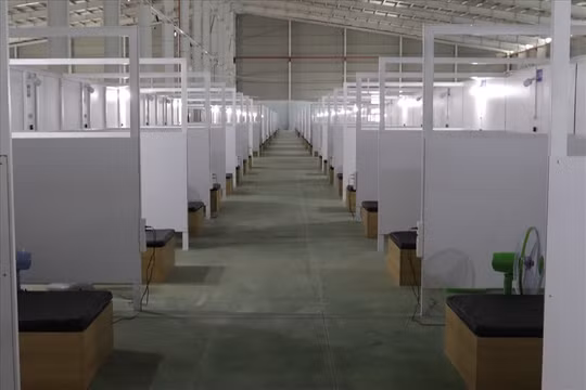 Bình Dương đưa vào hoạt động bệnh viện dã chiến số 4 quy mô 3.000 giường