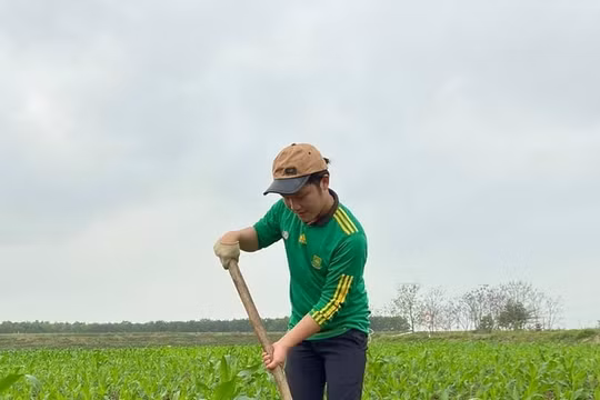 Sân khấu đóng cửa vì dịch bệnh, nghệ sĩ trẻ chật vật