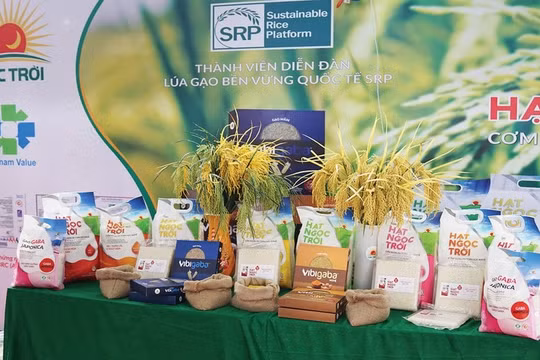 Cổ phiếu Lộc Trời Group tụt dốc, “thổi bay” thành quả từ đầu năm