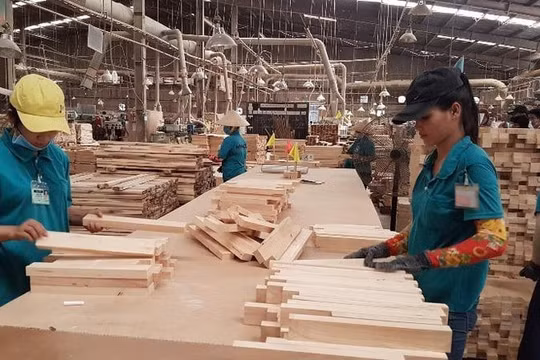 Ngành gỗ: Viết tiếp câu chuyện tăng trưởng