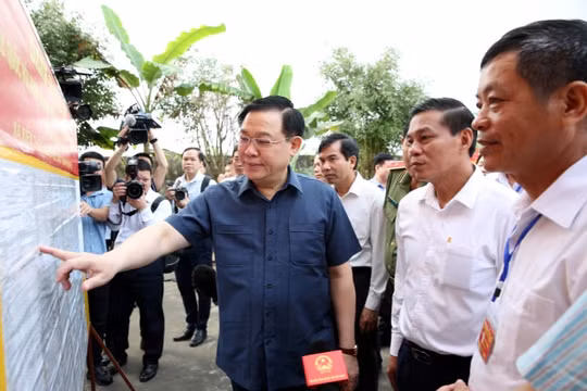 Hội đồng Bầu cử quốc gia có nhiệm vụ, quyền hạn gì?
