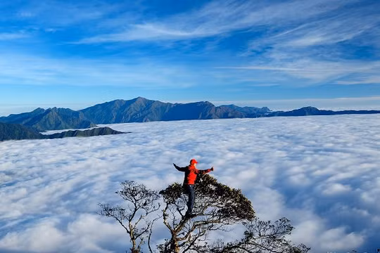 Ngắm thiên đường mây Tà Xùa