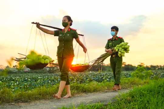 Công an "lội ruộng" giúp bà con nông dân thu hoạch sen