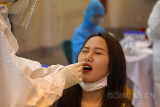 Quận Ba Đình lấy mẫu xét nghiệm cho 700 học sinh, giáo viên và người dân trở về từ vùng dịch