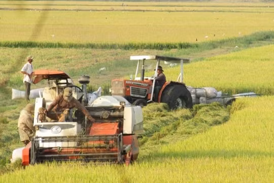 Thủ tướng phê duyệt Đề án nhân rộng mô hình hợp tác xã kiểu mới