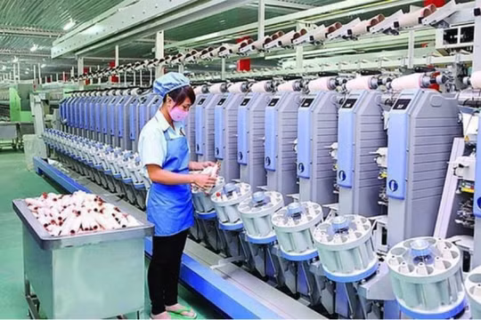 Dệt may thành công (TCM): Lãi quý 2 giảm 27%, dòng tiền kinh doanh âm