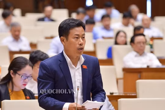 Giám đốc Đại học Quốc gia Hà Nội: Hiến kế “để Đại học không phải là học đại”