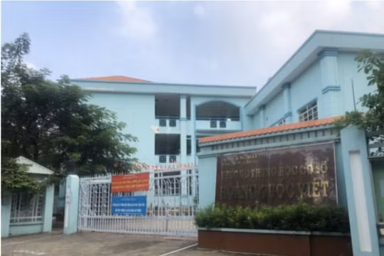 Vụ cô giáo uống thuốc tự tử: Phát hiện loạt sai phạm