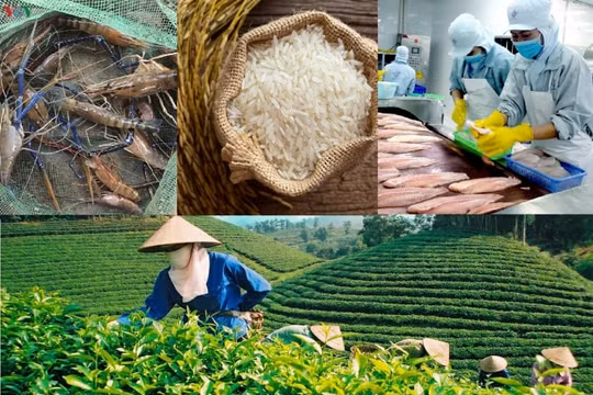 Chuyện “lạ” của ngành Công Thương: Hàng sản xuất được thì nhập khẩu, hàng đang thiếu lại xuất khẩu