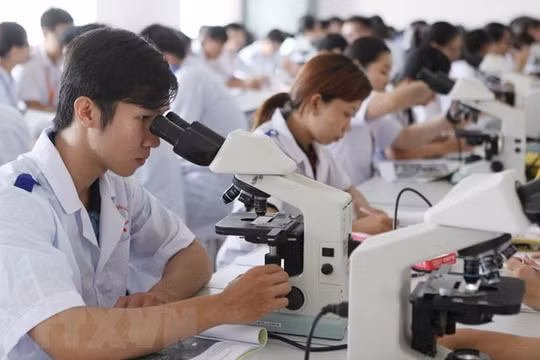 Tuyển sinh Đại học 2021: Phân biệt ngành, chuyên ngành để tránh “bẫy” tuyển sinh