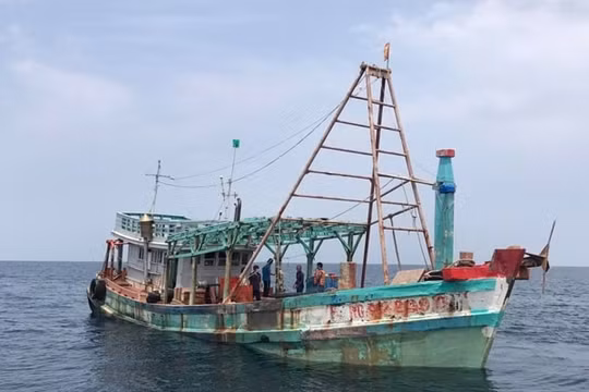 Cảnh sát biển bắt giữ tàu chở 100.000 lít dầu lậu trên biển Kiên Giang