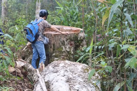 Chúng ta cần soi tới ranh giới của đạo đức