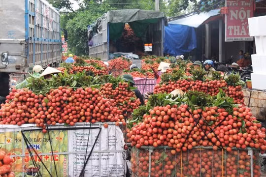 Hà Nội và TP.HCM cam kết "giải cứu" nông sản của các địa phương bùng dịch
