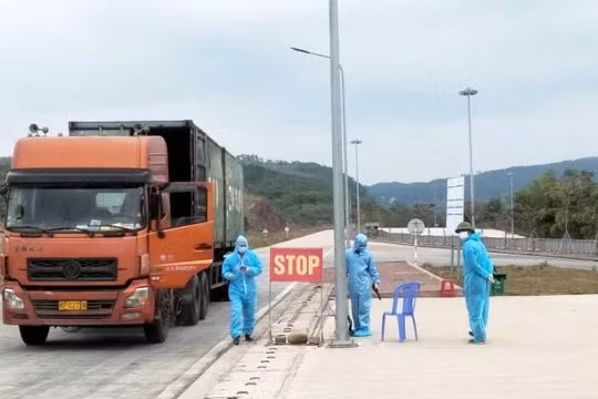 Quảng Ninh: Siết chặt quản lý lái xe và phương tiện hoạt động xuất nhập khẩu để phòng, chống dịch Covid-19