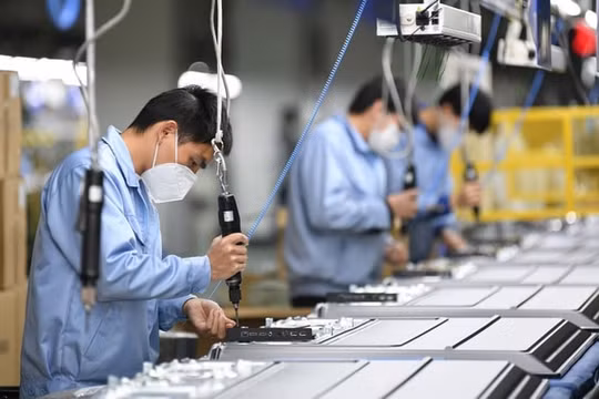 Miễn, giảm thuế cho cho người dân, doanh nghiệp gặp khó vì Covid-19