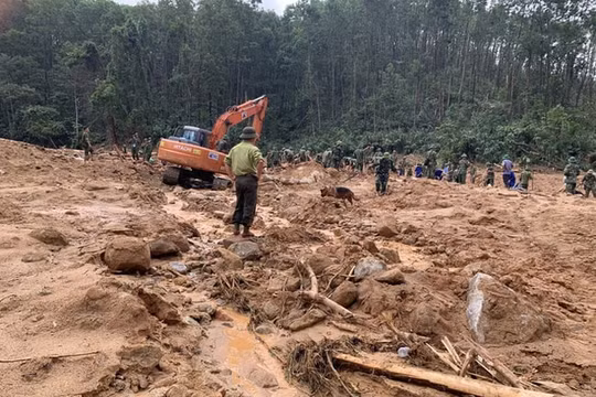 Sẽ kiểm tra, đánh giá mức độ an toàn của Thủy điện Rào Trăng 3 trong vòng 45 ngày