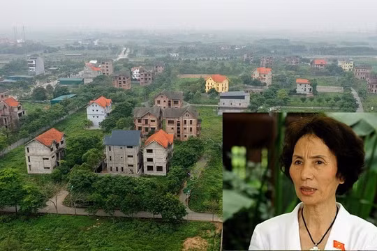 PGS. TS Bùi Thị An: Có chuyện móc nối lấy đất giá rẻ, rồi “ôm đất” chờ lên giá hưởng lợi