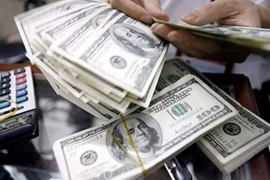 Tỷ giá ngoại tệ hôm nay 7/8: Đồng USD bật tăng, Hoa Kỳ có thể thắt chặt chính sách tiền tệ sớm