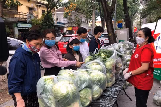 Hà Nội chung tay “giải cứu” nông sản cho nông dân Hải Dương