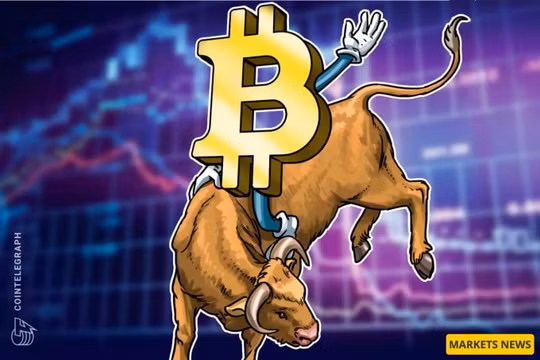 Giá Bitcoin hôm nay 24/10: 'Vẫn tăng giá' ngay cả khi giá BTC giảm xuống 50.000 USD