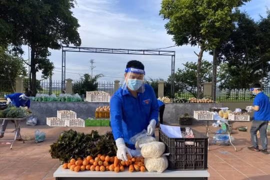 “Chợ online” bình ổn giá thời COVID-19