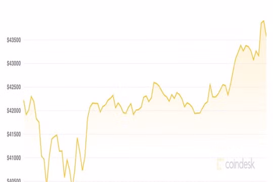 Giá Bitcoin hôm nay 23/9: Thị trường dần hồi phục