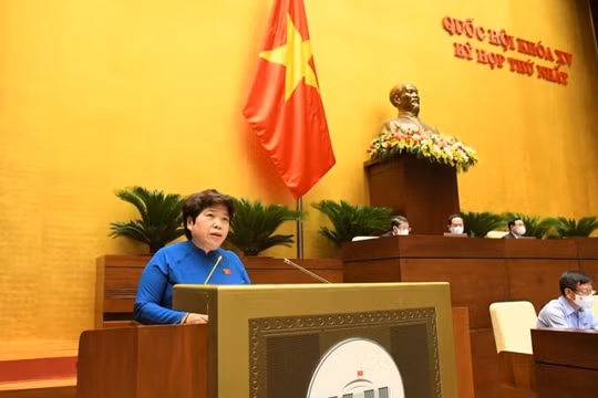 Bổ sung giải pháp thích ứng với dịch bệnh COVID-19 trong hỗ trợ sinh kế, phát triển mô hình giảm nghèo